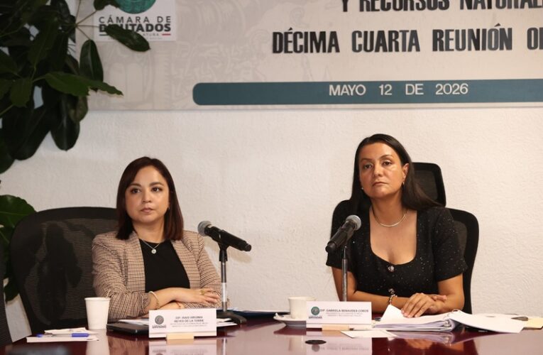 Aprueban protección especial para vegetación cercana a ríos y lagunas